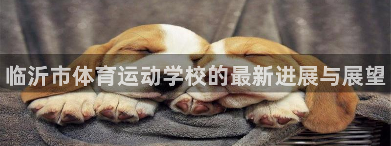 尊龙官网下载招商电话号码:临沂市体育运动学校的最新进展与展望