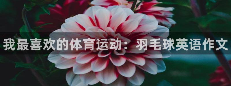 尊龙官网下载招商电话号码是多少:我最喜欢的体育运动:羽毛球英