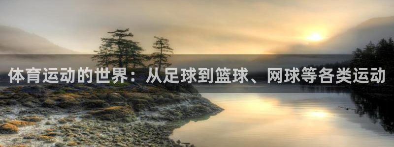 尊龙官方正版app集团logo:体育运动的世界:从足球到篮球